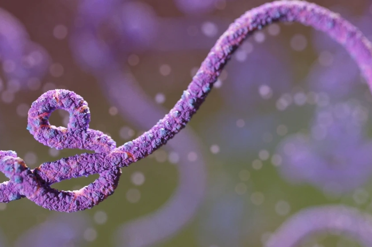 Ebola: Dois casos suspeitos em investigação no Brasil agora
