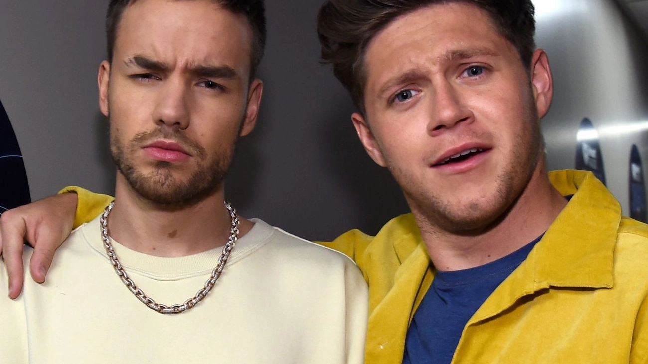 Niall Horan fala sobre Liam Payne agora em entrevista emocionante